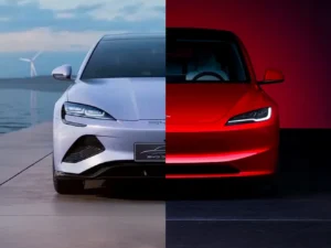 BYD vs TESLA