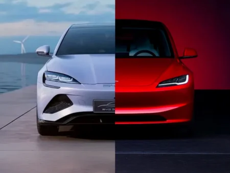 BYD vs TESLA