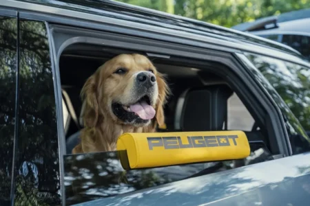 Peugeot E-5008 Dog Edition carroemercado